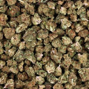 Critical Kush Small Bugs, CBD, CBD España, comprar CBD, CBD online